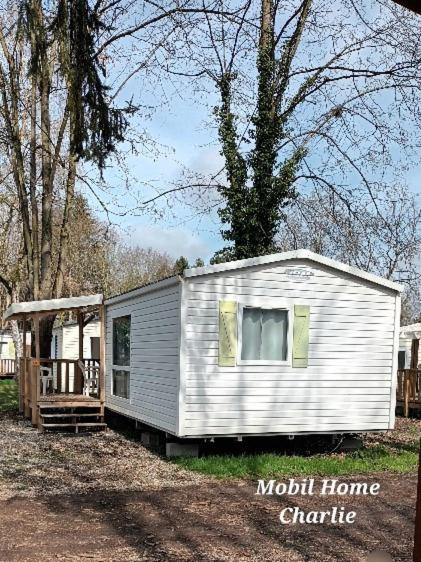 Campsite Mobil Proche Europa Park/rulantica *