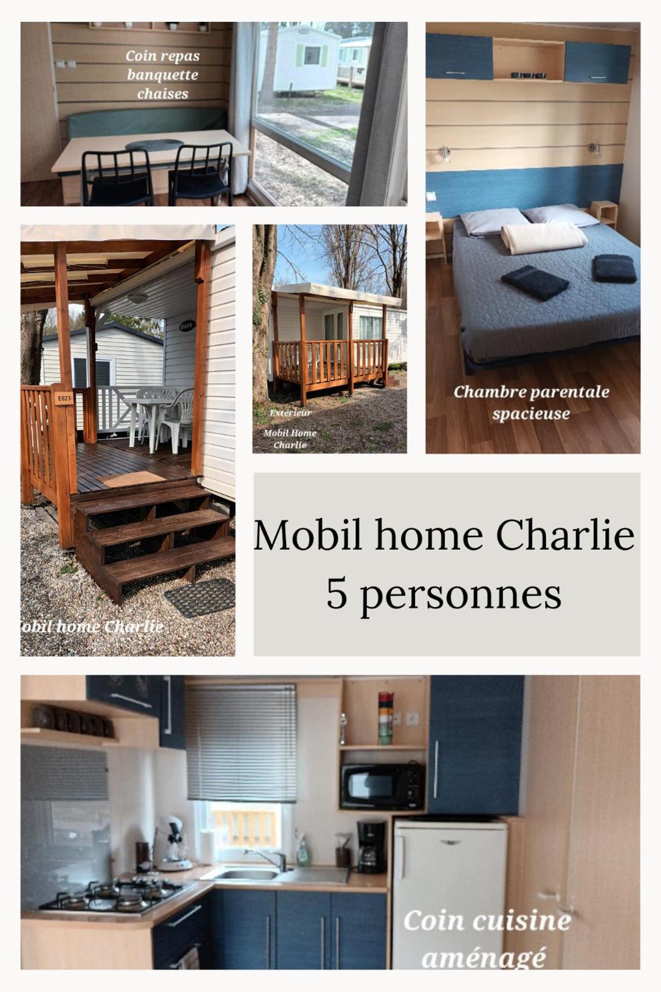 Campsite Mobil Proche Europa Park/rulantica
